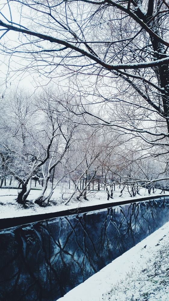 Photo #8597354