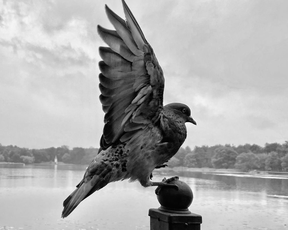 Photograph by Ольга Барулина