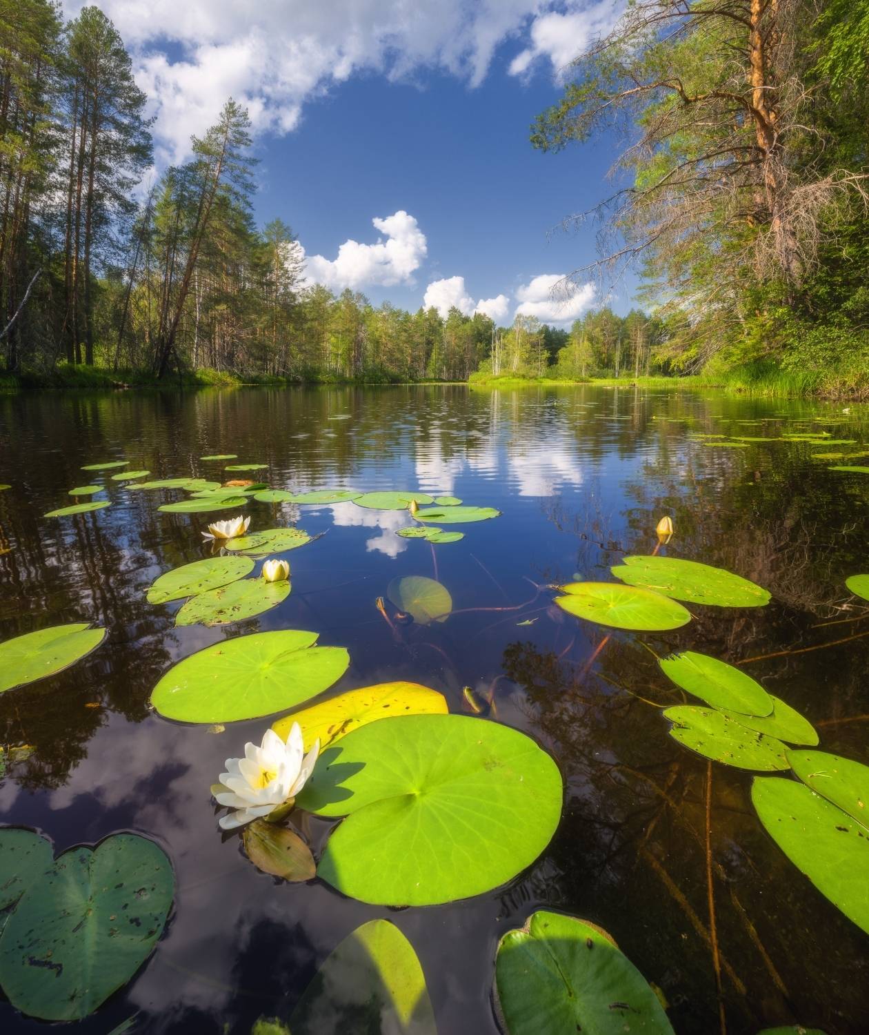 Фотография #8597465