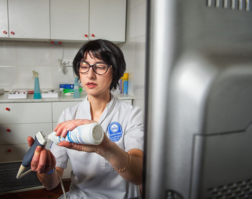 Фотография автора Иван Сафронов