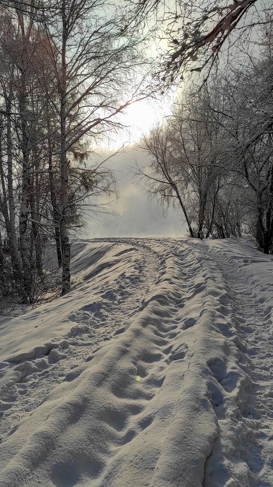 Photograph by Наталья Шишанина