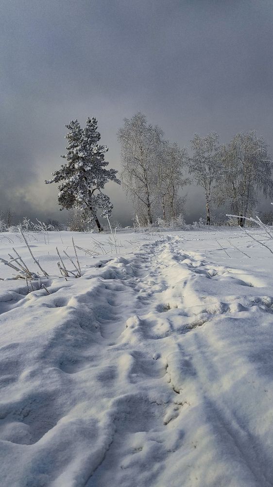 Photograph by Наталья Шишанина