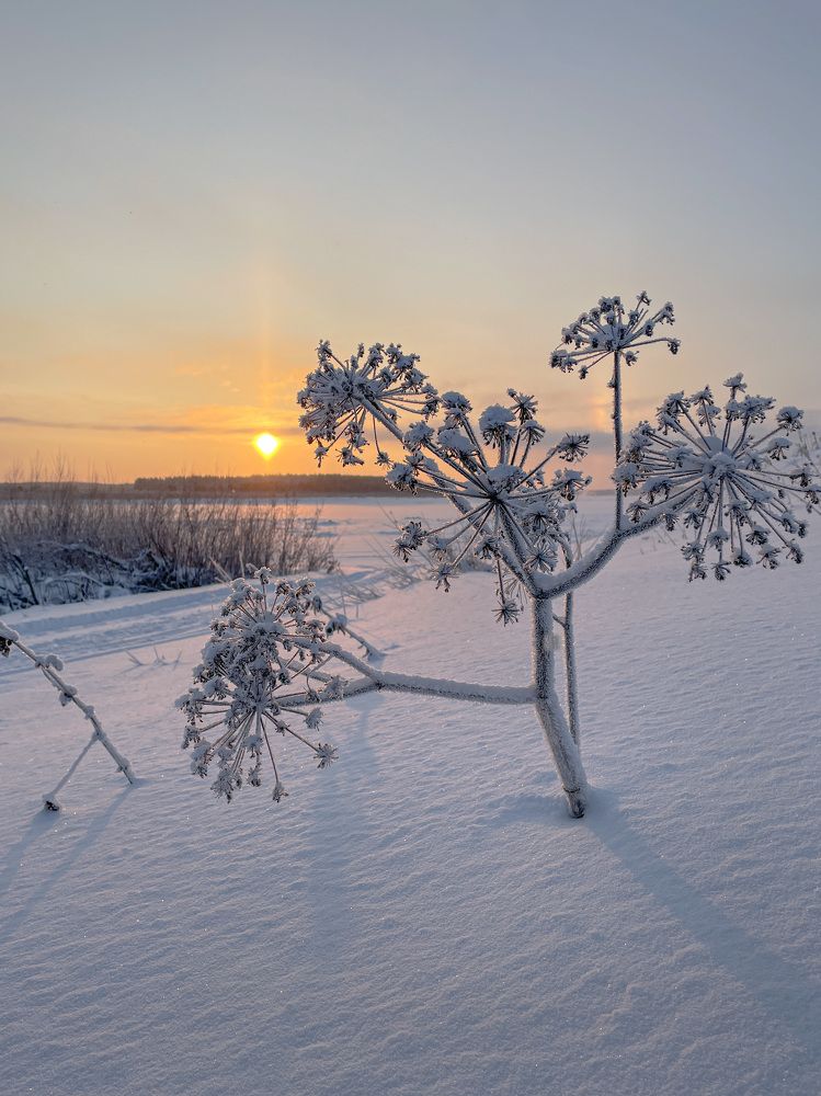Photograph by Юлия Коншина