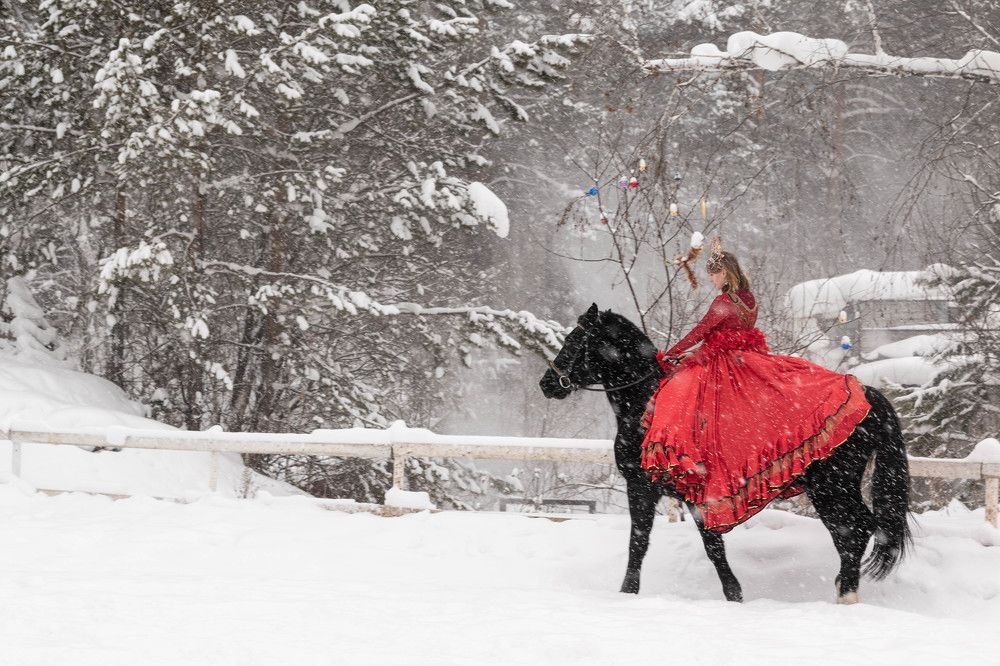 Фотография автора Евгения Гунина