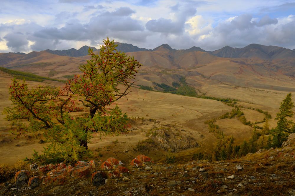 Фотография автора Валентина