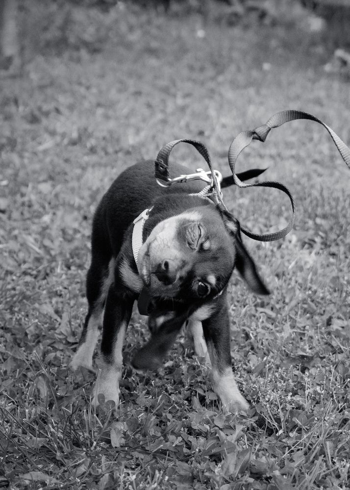 Photograph by Игорь Еремеев