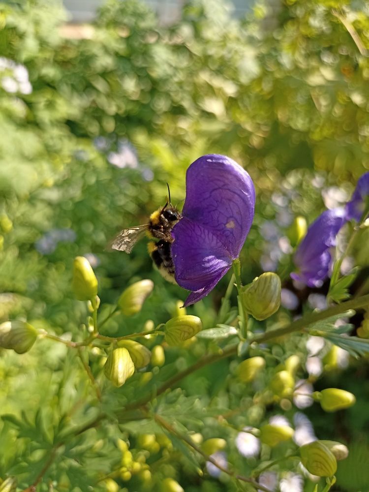 Photograph by Татьяна Смирнова