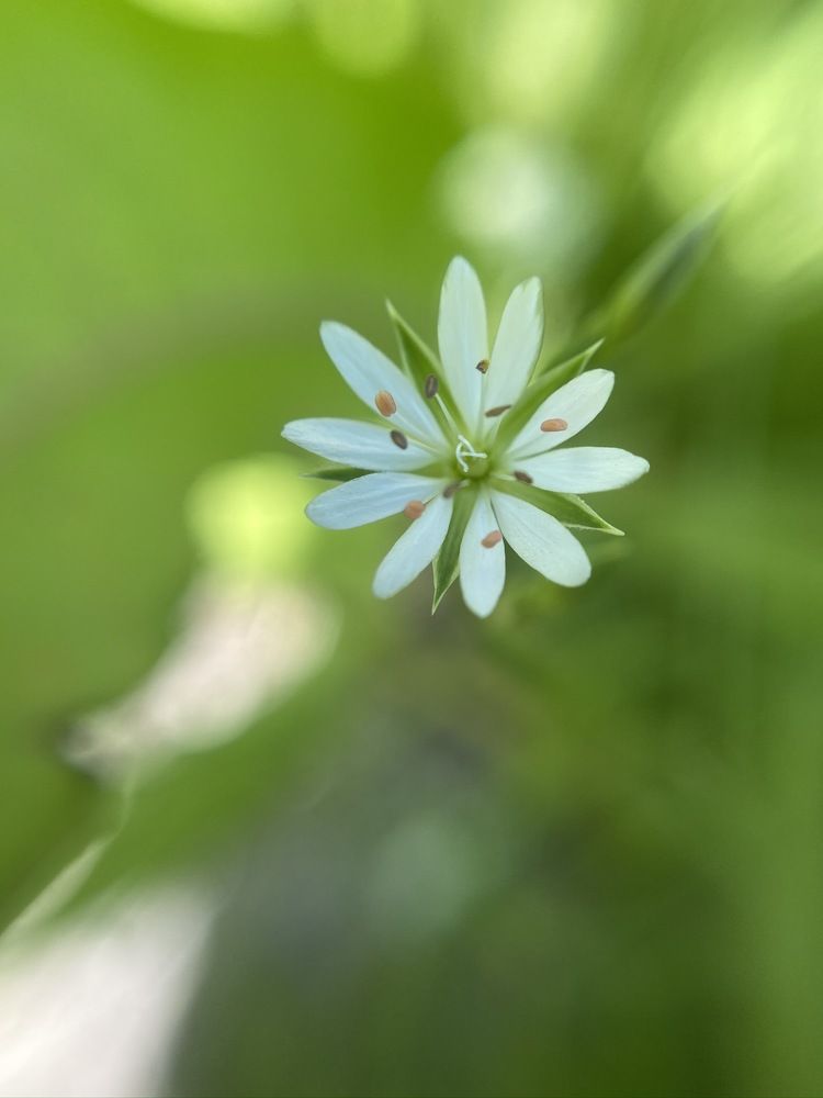 Photograph by Ольга Филатова