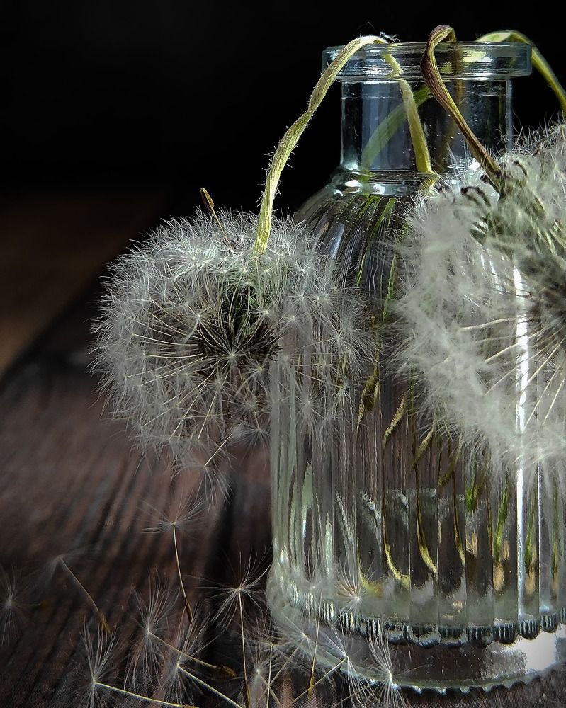 Photograph by Helen Ka