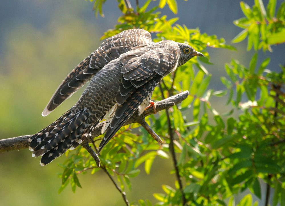 Photograph by Михаил Белоусов