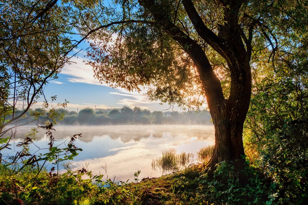 Photograph by Сивенок Елена