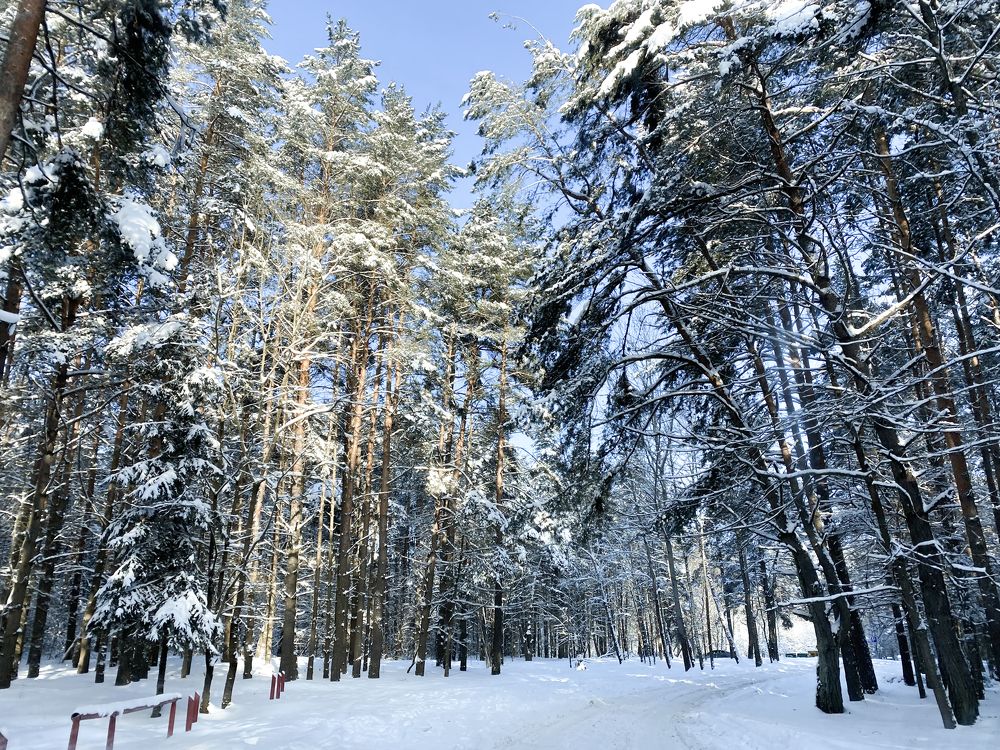 Photograph by Екатерина Бердутина