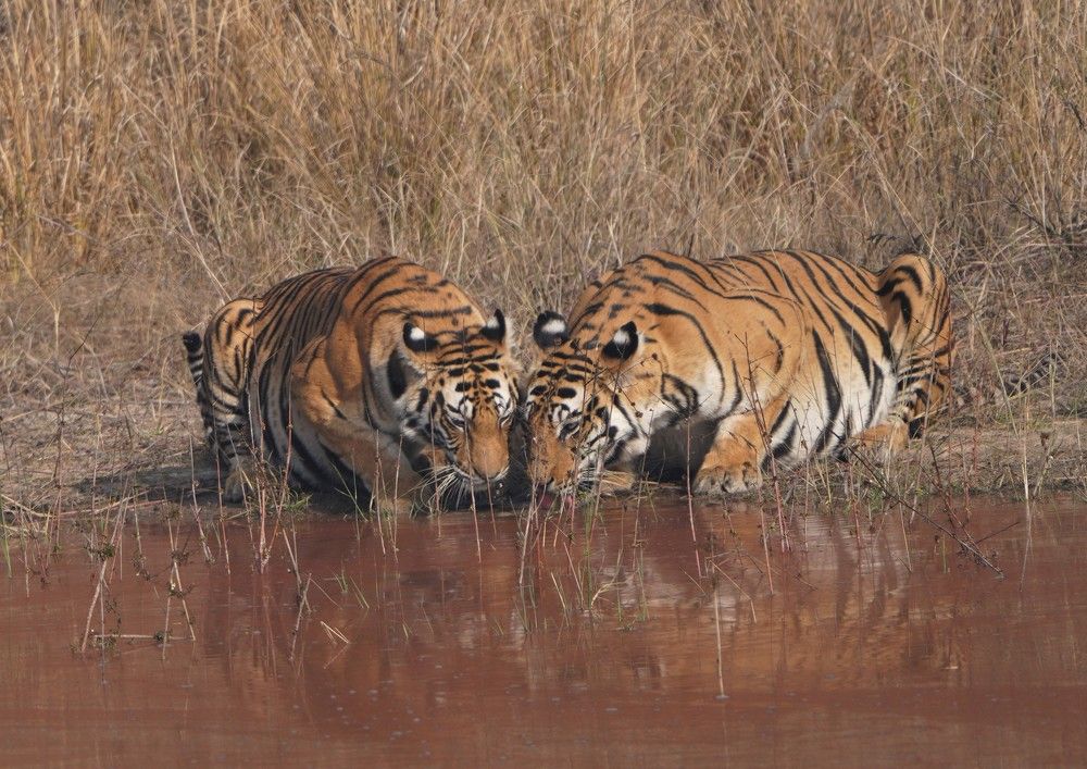 Photograph by Nirmalya Chakraborty