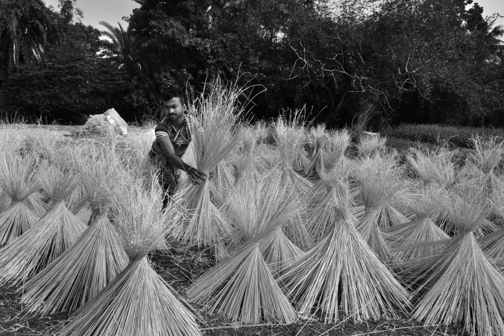 Фотография автора Swati Biswas Guha