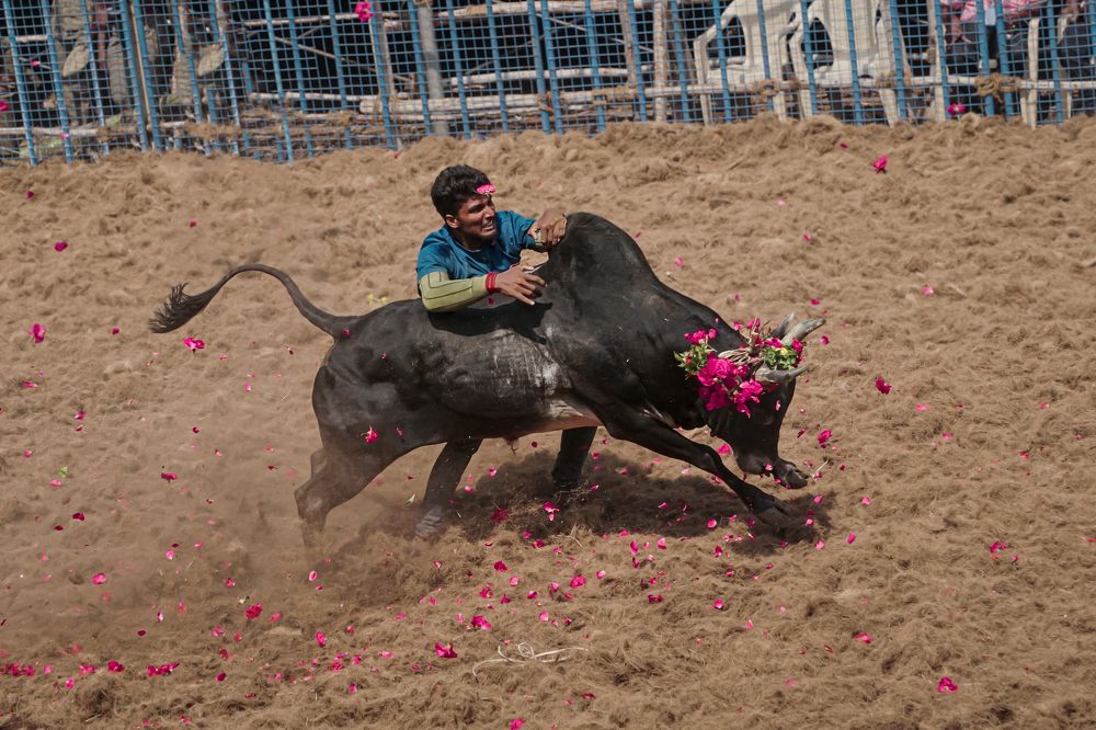 Photograph by Sharanesh S