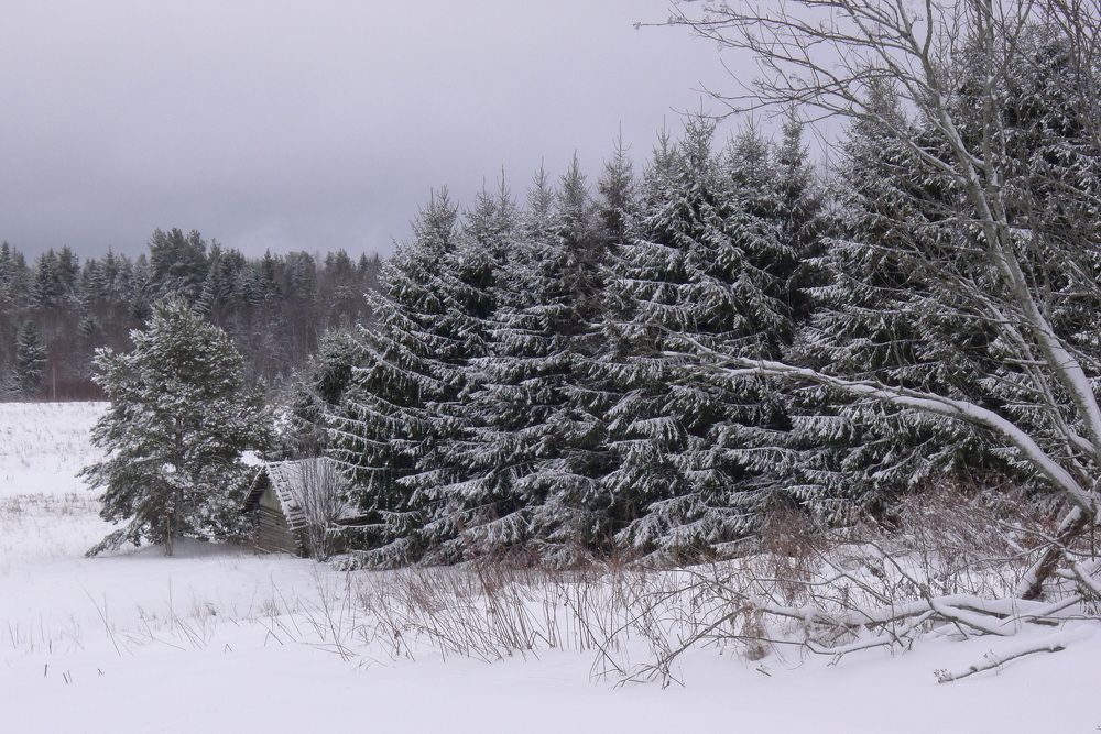 Photograph by Харис Шахмаметьев