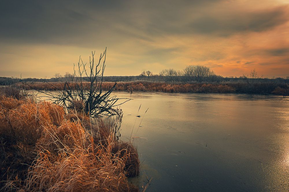 Photograph by Александр Жариков