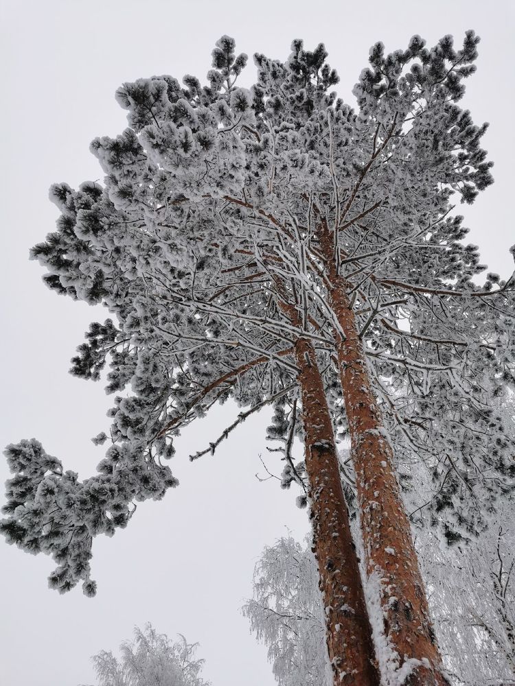 Фотография автора Андрей Богданов
