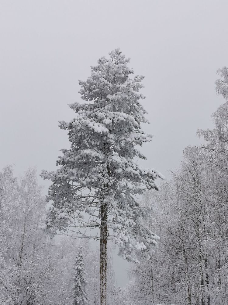 Фотография автора Андрей Богданов