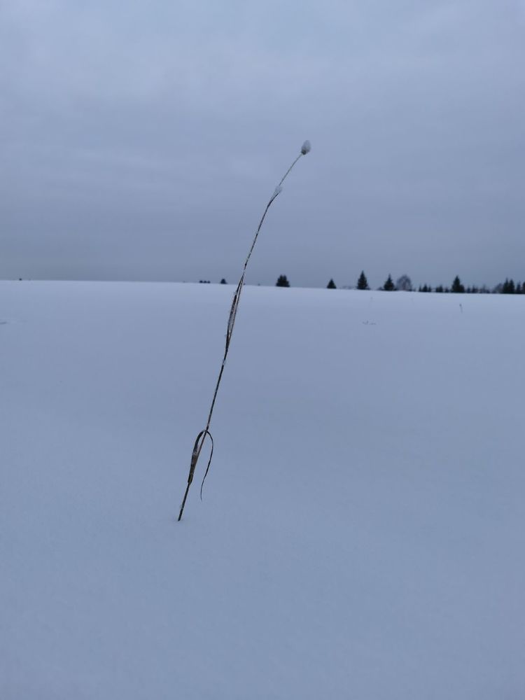 Фотография автора Андрей Богданов