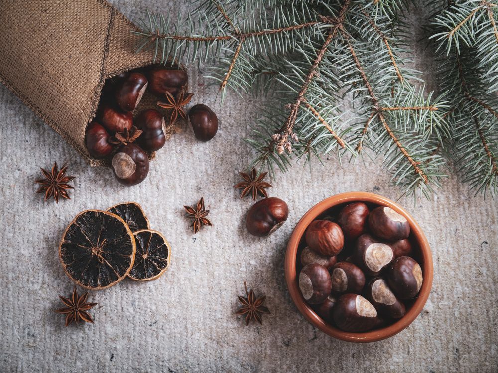 Photograph by Fadeeva Ekaterina