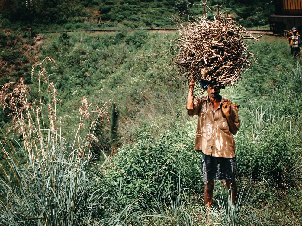 Photograph by Татьяна Дашкевич