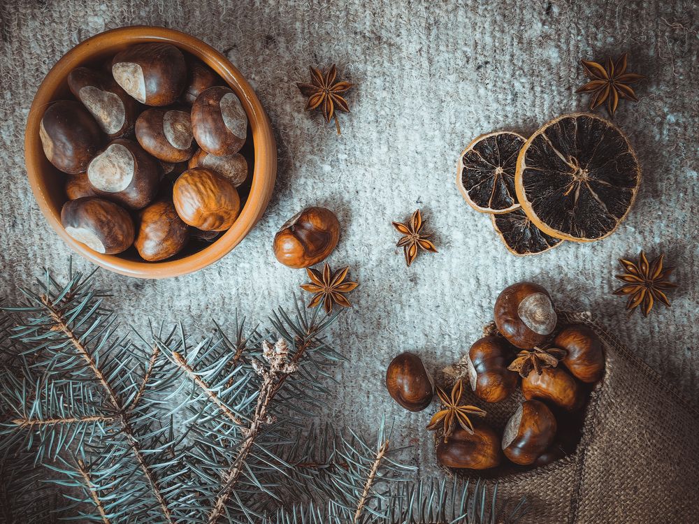 Photograph by Fadeeva Ekaterina