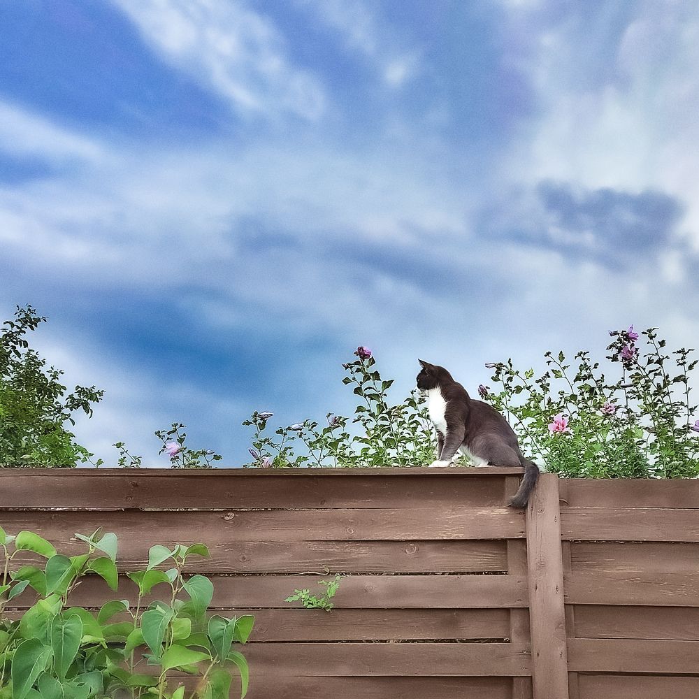 Photograph by Romanova Tatyana