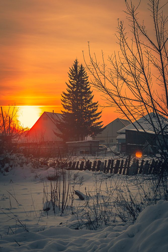 Photograph by Александр Жариков