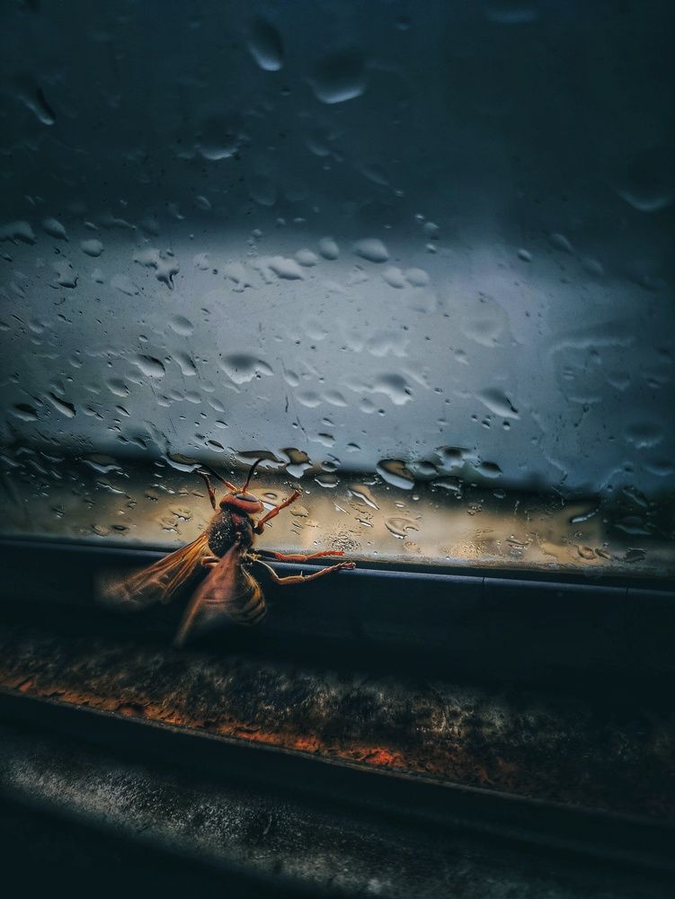 Photograph by Konstantin Martynov