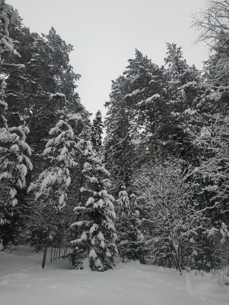 Photograph by Екатерина Евгеньевна