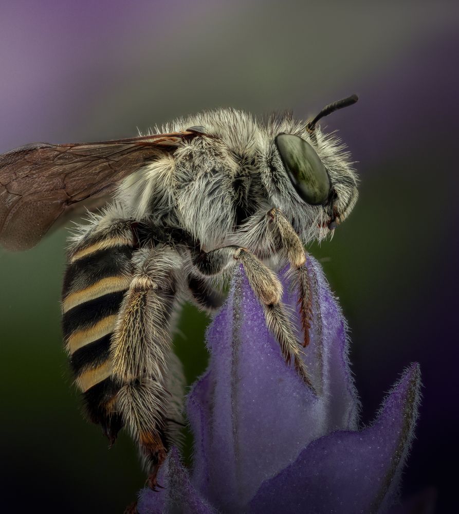 Photograph by Maikel Valle Clara