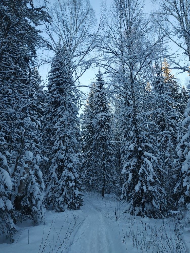 Photograph by Екатерина Евгеньевна