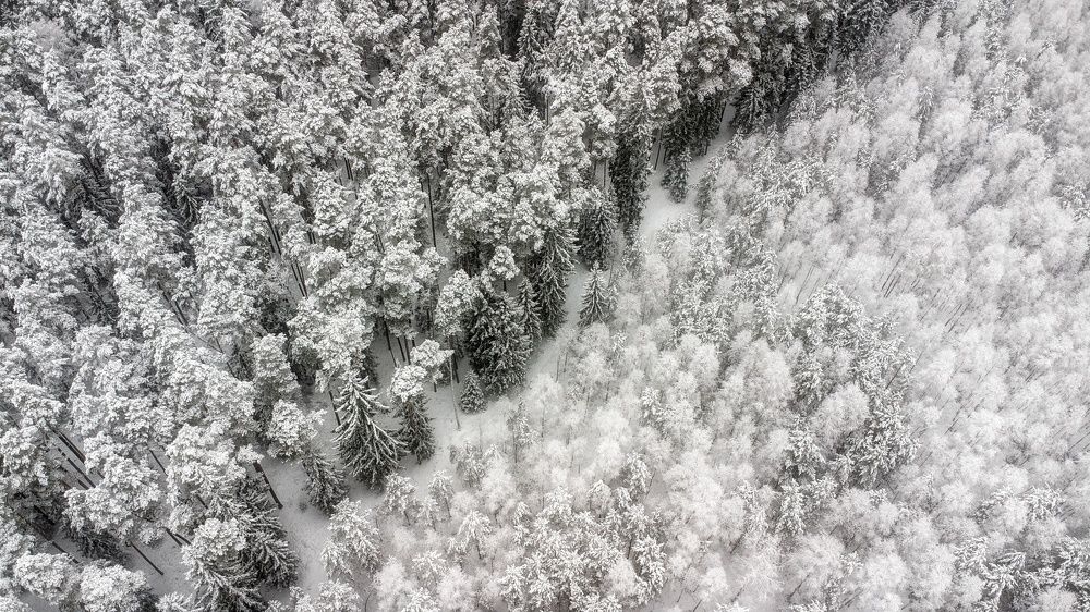 Photograph by Leanid Kulpo