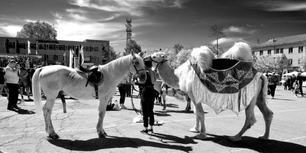 Photograph by Дмитрий Петренко