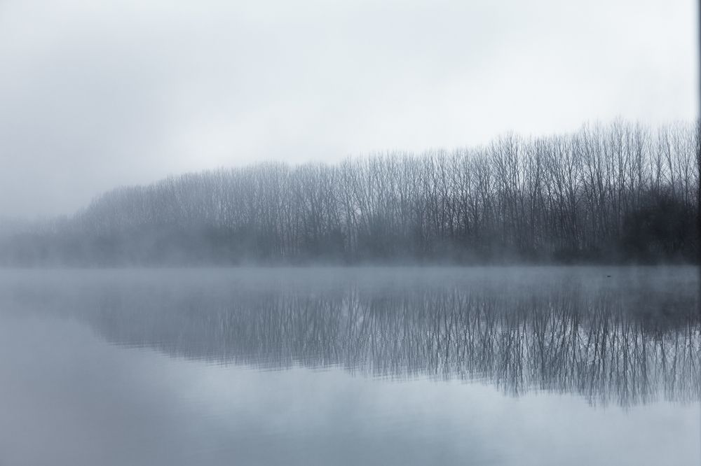 Photograph by João Versos Roldão