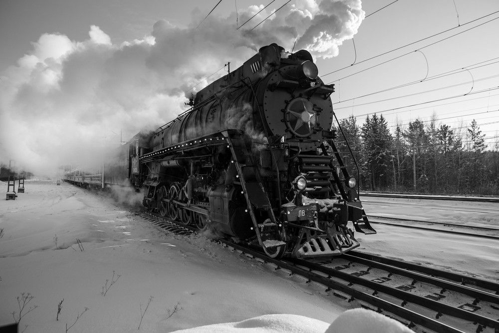 Фотография автора Сергей Чесноков
