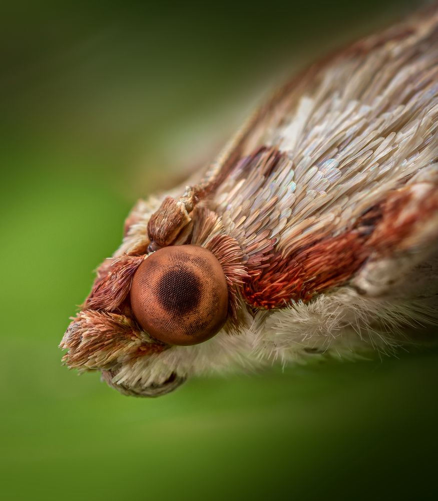 Photograph by Maikel Valle Clara