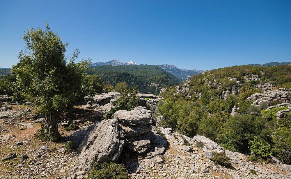 Photograph by Андрей Андрианов