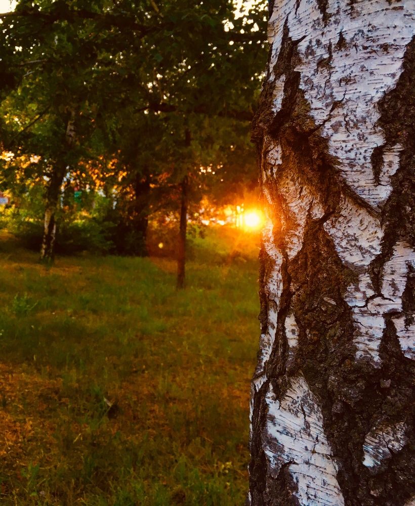 Photograph by Алиса