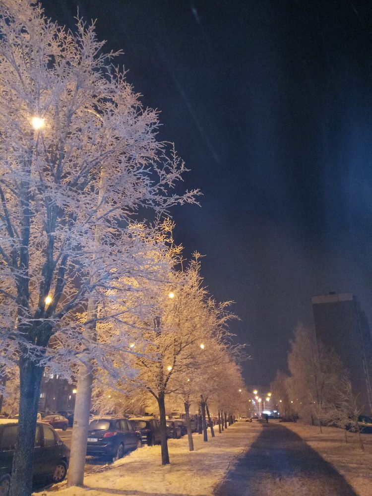 Photo #8598480