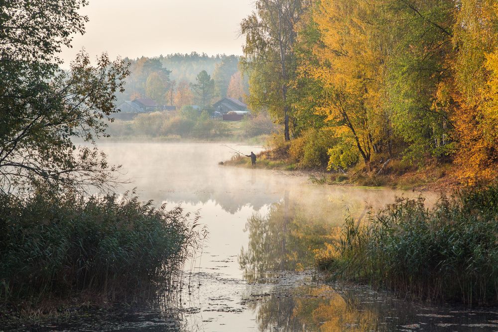 Photograph by Дмитрий Алексеев
