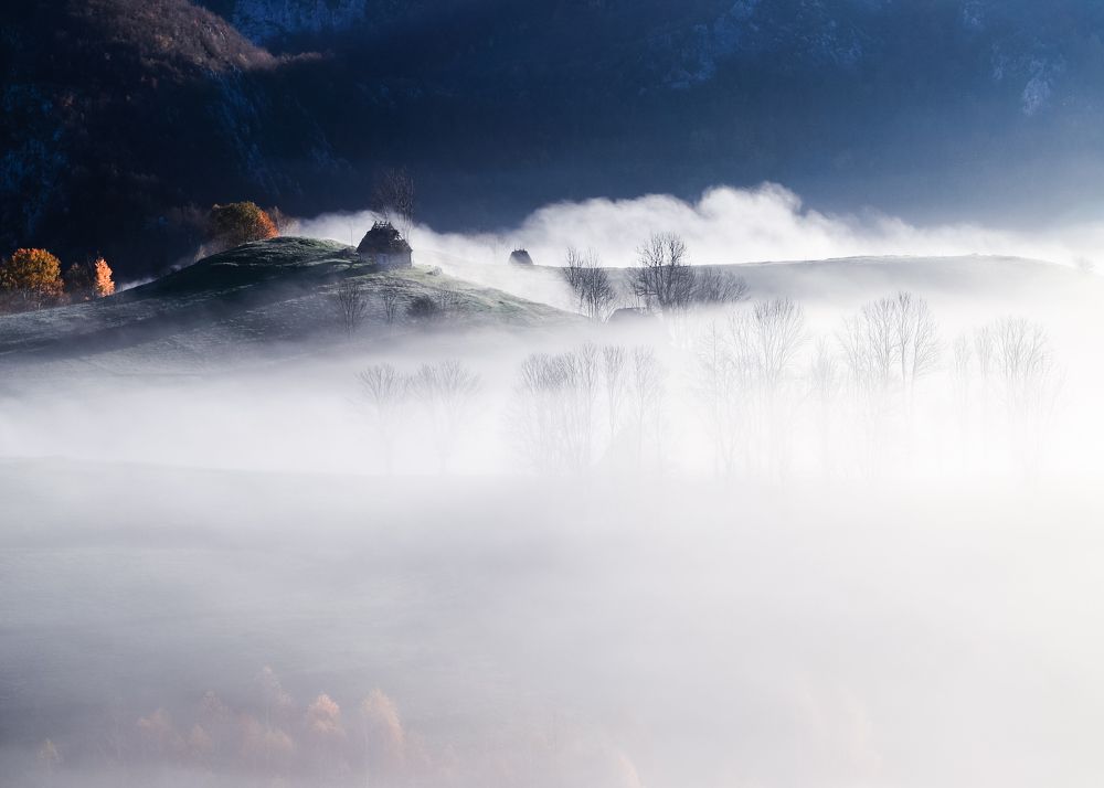 Фотография автора Flegner Calin