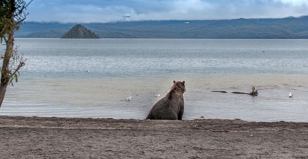 Photograph by Александр Поборчий