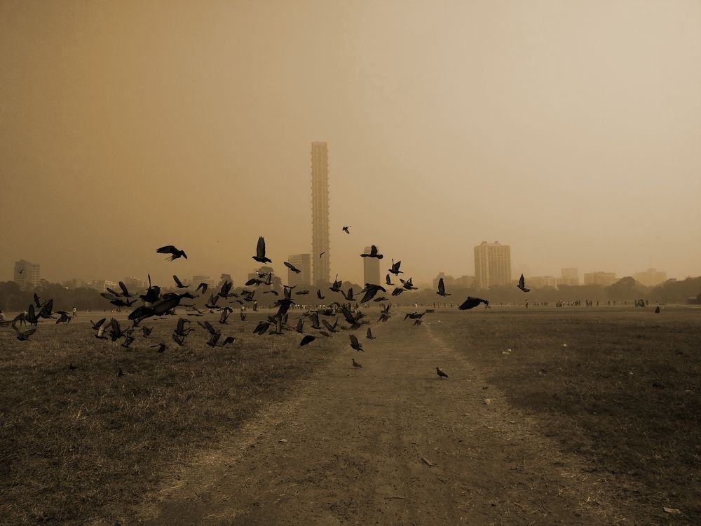 Photograph by Sneha Saha