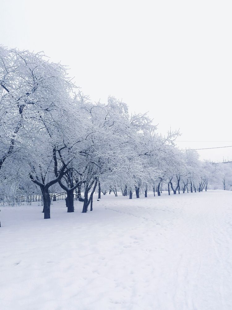 Photograph by Елена Андреевна