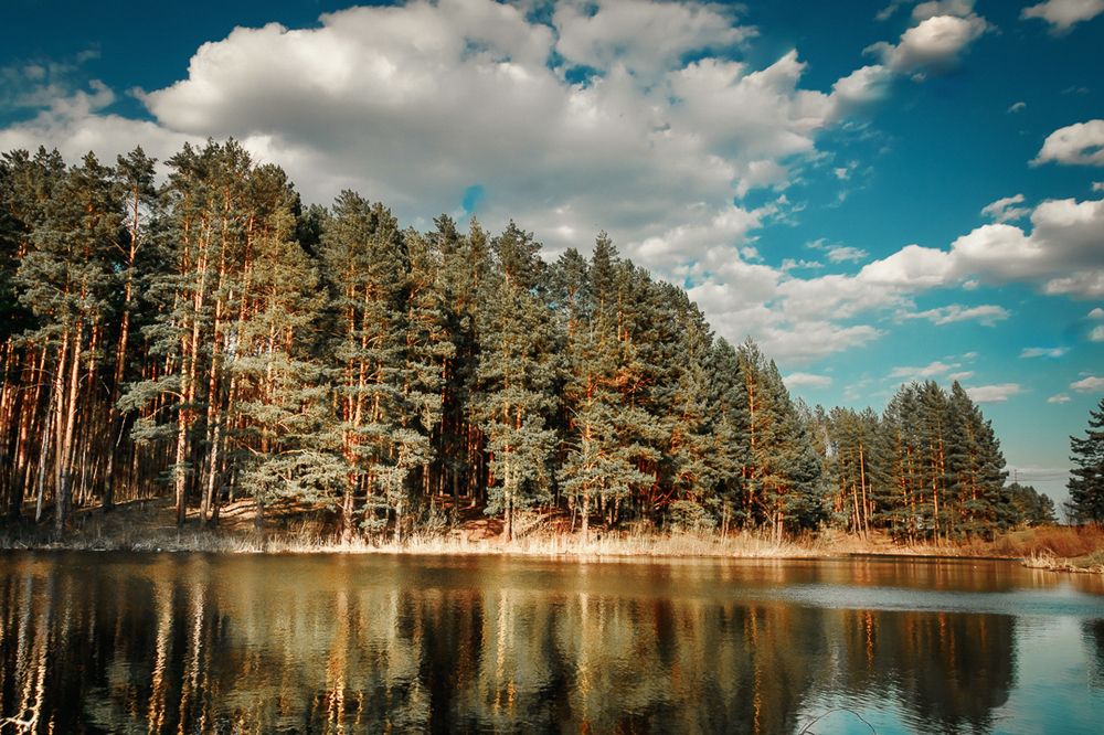 Photograph by Василий Лазарев