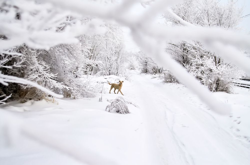 Photograph by Юрий Новиков
