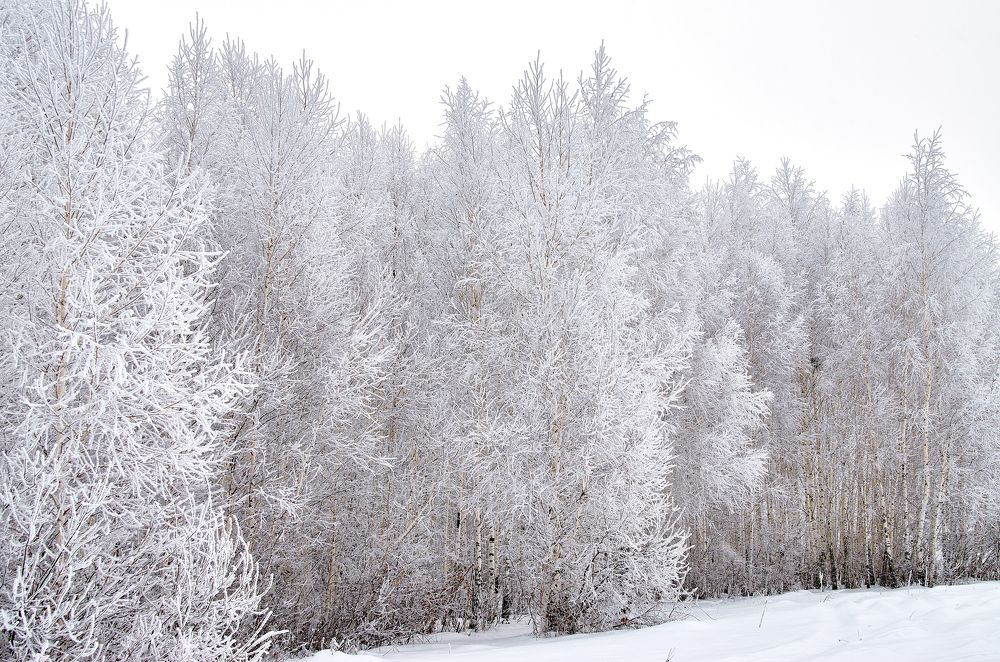 Photograph by Юрий Новиков