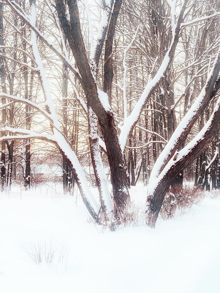 Photograph by Наталья Сережко